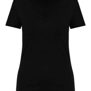 Native Spirit Ladies V Neck T-Shirt