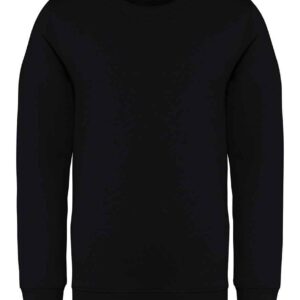 Native Spirit Kids Crew Neck Sweatshirt