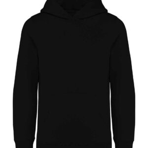 Native Spirit Kids Hooded Sweatshirt