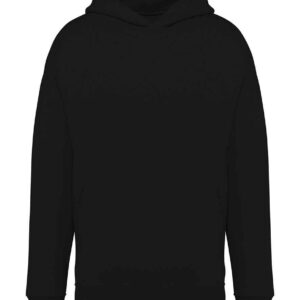 Native Spirit Unisex Oversized Hoodie