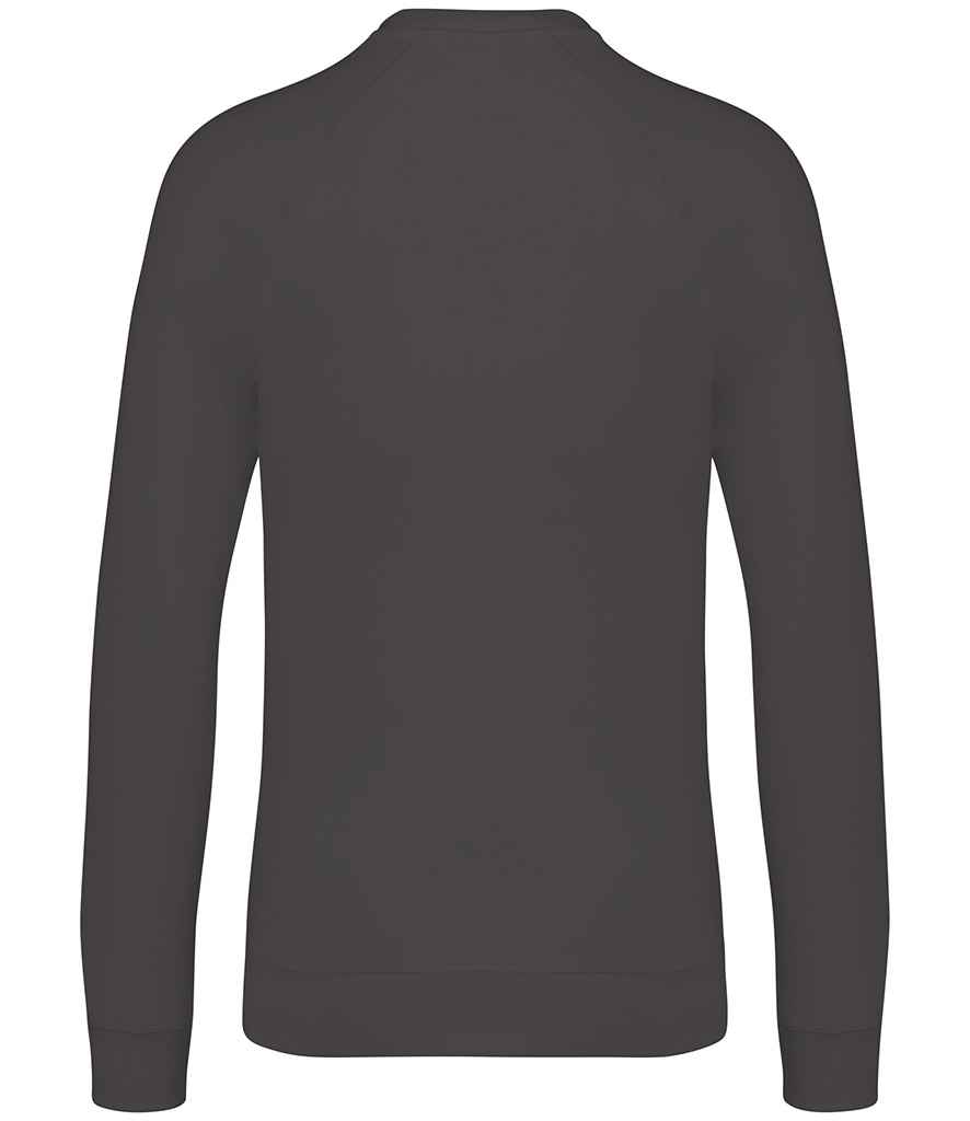Native Spirit Unisex Raglan Sleeve Sweatshirt - Image 9