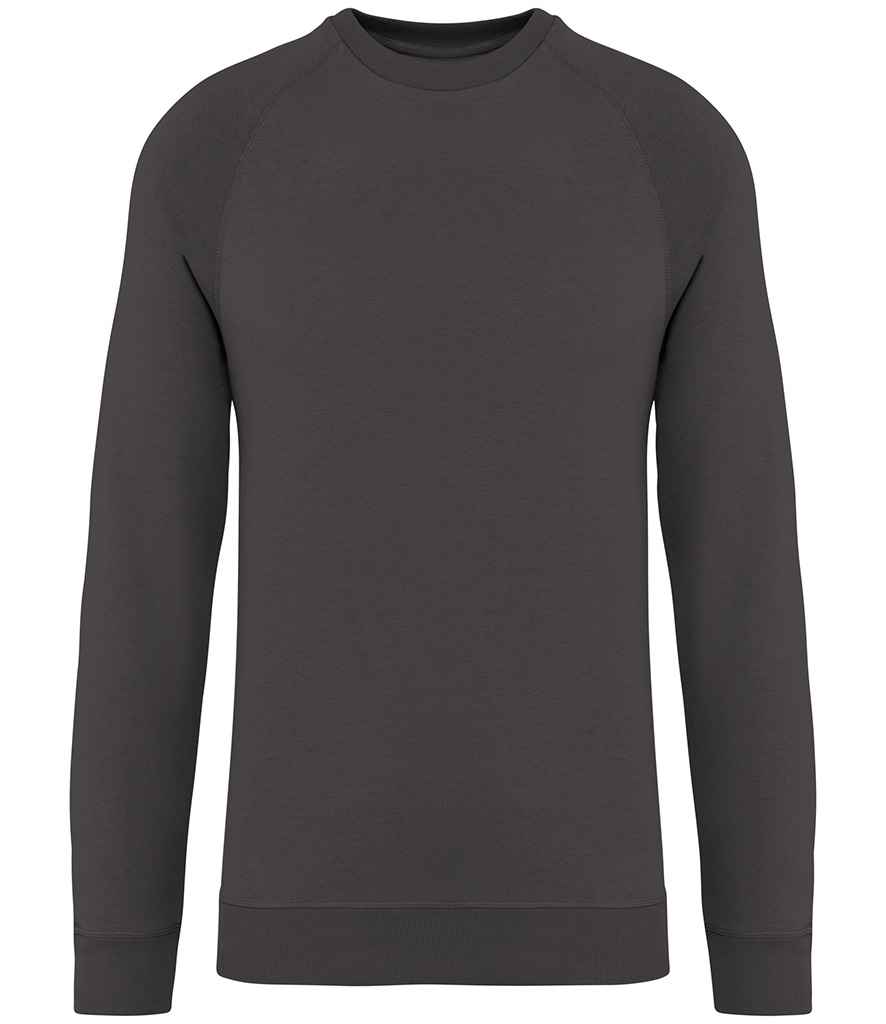 Native Spirit Unisex Raglan Sleeve Sweatshirt - Image 4