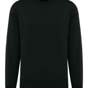 Native Spirit Unisex Oversized Sweatshirt