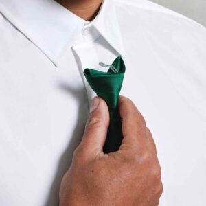 Premier 'Colours' Satin Clip Tie