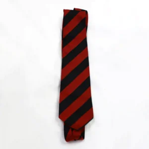 Goring C of E Tie - Red & Navy